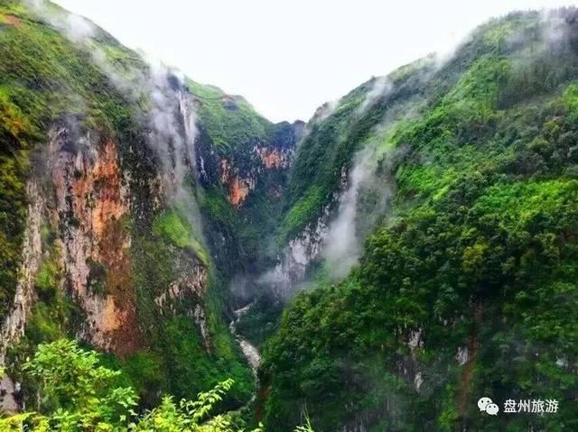 以链式招商为产业搭台“建群”